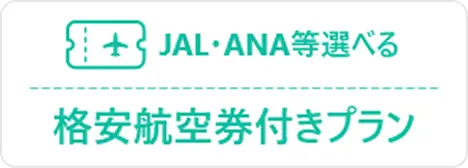 JAL・ANA等が選べる格安航空券付きプラン