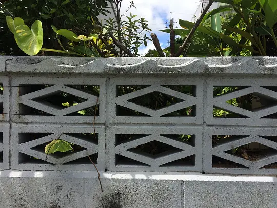 リノベ施設の花ブロック