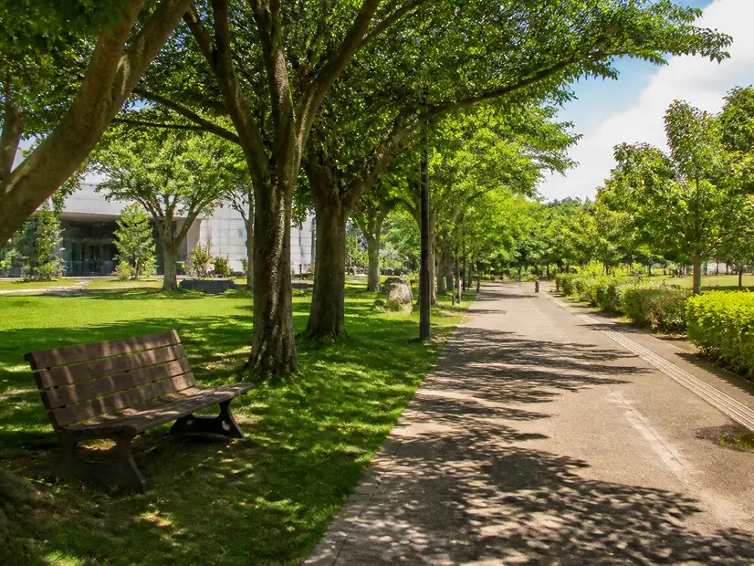 沖縄県立博物館・美術館周辺の遊歩道